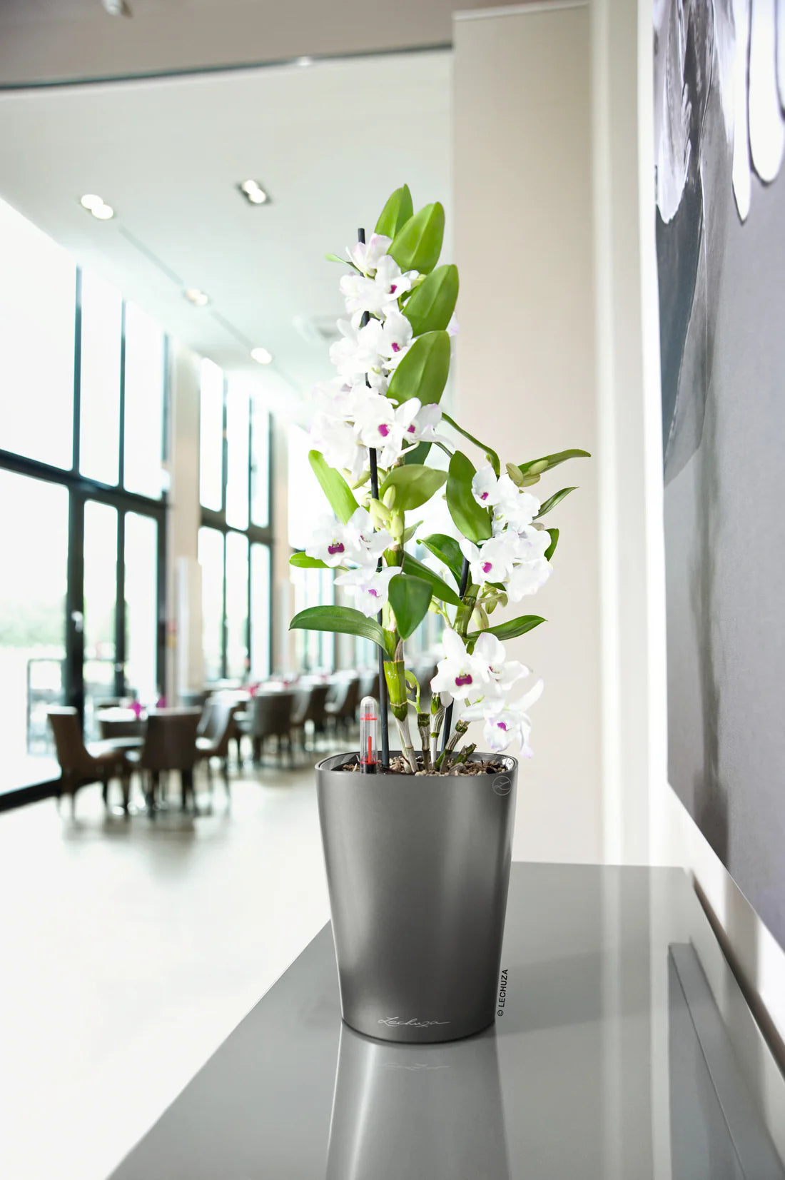 DELTINI by LECHUZA self-watering planters soft square design